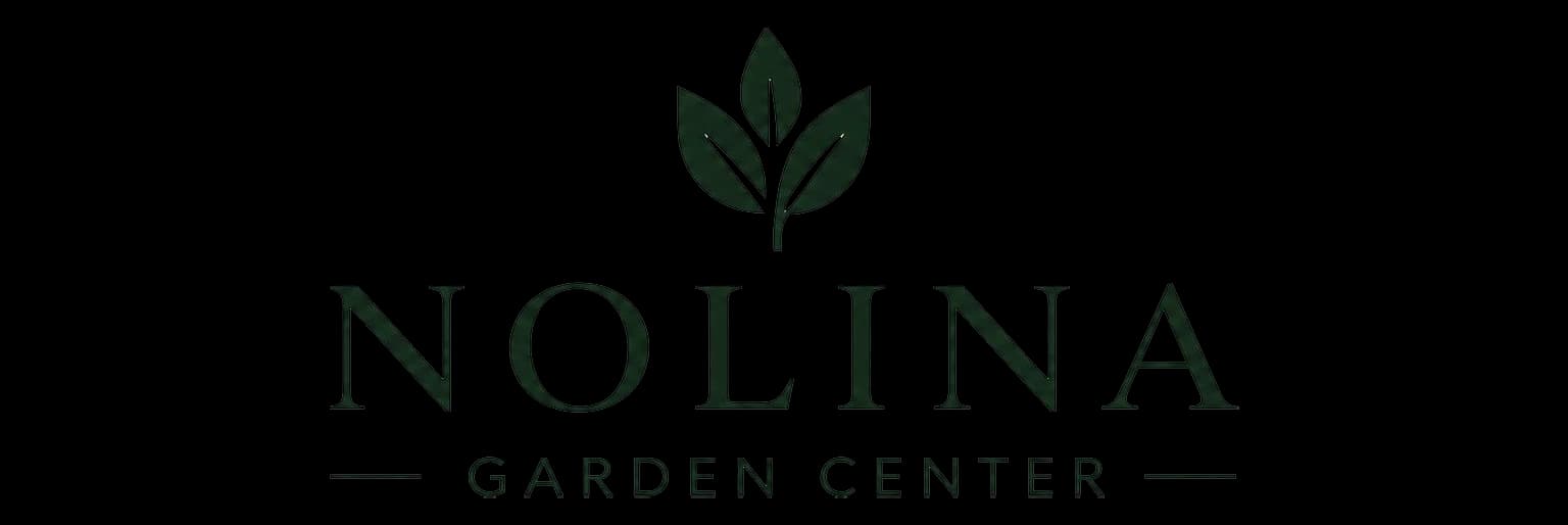 Nolina
